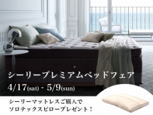 シーリープレミアムベッドフェア
