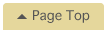Page Top